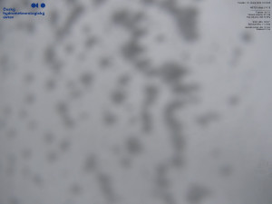 Lysá hora - Pohled na jihozápad, Smrk - 16.2.2026 v 16:15 Lysá hora - Pohled na jihozápad, Smrk - 16.2.2026 v 16:15