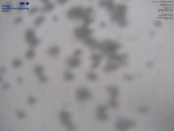 Pohled na jihozápad, Smrk