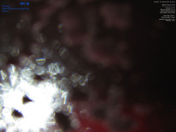 Pohled na jihozápad, Smrk