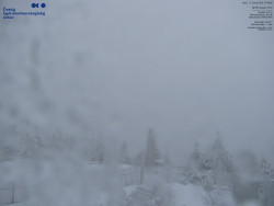 Pohled na jihozápad, Smrk