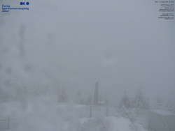 Pohled na jihozápad, Smrk