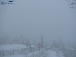 Pohled na jihozápad, Smrk