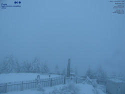 Pohled na jihozápad, Smrk