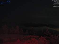 Pohled na jihozápad, Smrk