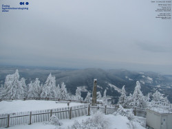 Pohled na jihozápad, Smrk