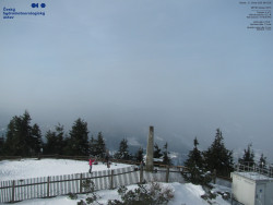 Pohled na jihozápad, Smrk