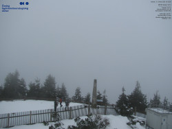 Pohled na jihozápad, Smrk