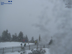 Pohled na jihozápad, Smrk