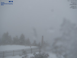 Pohled na jihozápad, Smrk