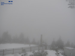 Pohled na jihozápad, Smrk