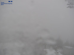 Pohled na jihozápad, Smrk