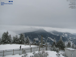 Pohled na jihozápad, Smrk