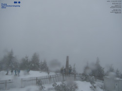 Pohled na jihozápad, Smrk