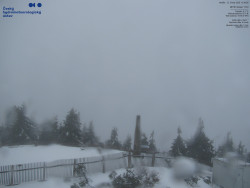 Pohled na jihozápad, Smrk