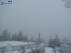 Pohled na jihozápad, Smrk