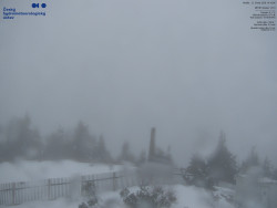 Pohled na jihozápad, Smrk