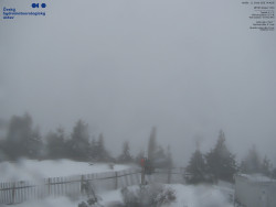 Pohled na jihozápad, Smrk