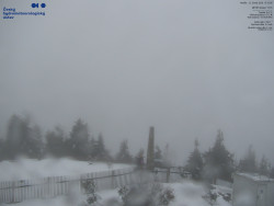 Pohled na jihozápad, Smrk