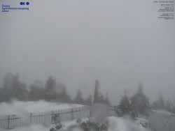 Pohled na jihozápad, Smrk