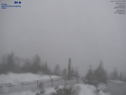 Pohled na jihozápad, Smrk