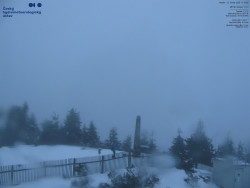 Pohled na jihozápad, Smrk