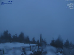 Pohled na jihozápad, Smrk