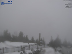 Pohled na jihozápad, Smrk