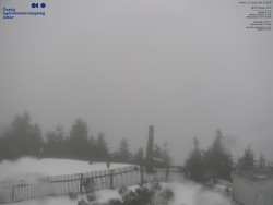 Pohled na jihozápad, Smrk