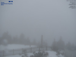 Pohled na jihozápad, Smrk