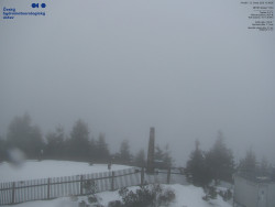 Pohled na jihozápad, Smrk