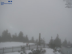 Pohled na jihozápad, Smrk