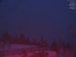 Pohled na jihozápad, Smrk