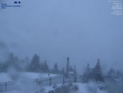 Pohled na jihozápad, Smrk