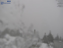 Pohled na jihozápad, Smrk