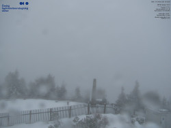 Pohled na jihozápad, Smrk