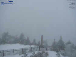 Pohled na jihozápad, Smrk