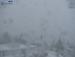 Pohled na jihozápad, Smrk