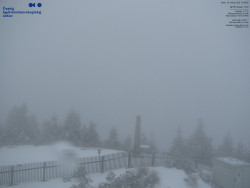 Pohled na jihozápad, Smrk