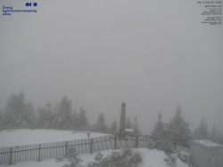 Pohled na jihozápad, Smrk