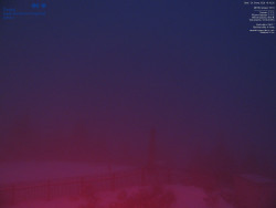 Pohled na jihozápad, Smrk