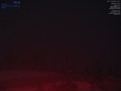 Pohled na jihozápad, Smrk