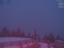 Pohled na jihozápad, Smrk