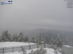 Pohled na jihozápad, Smrk