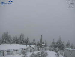 Pohled na jihozápad, Smrk