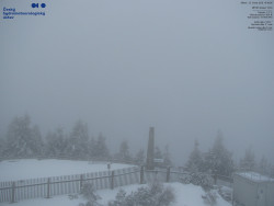 Pohled na jihozápad, Smrk