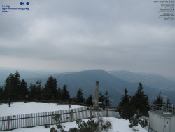 Pohled na jihozápad, Smrk