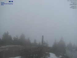 Pohled na jihozápad, Smrk