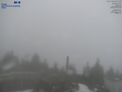 Pohled na jihozápad, Smrk