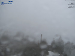 Pohled na jihozápad, Smrk