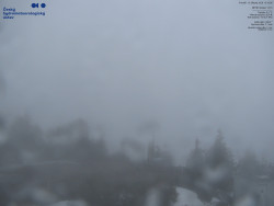 Pohled na jihozápad, Smrk